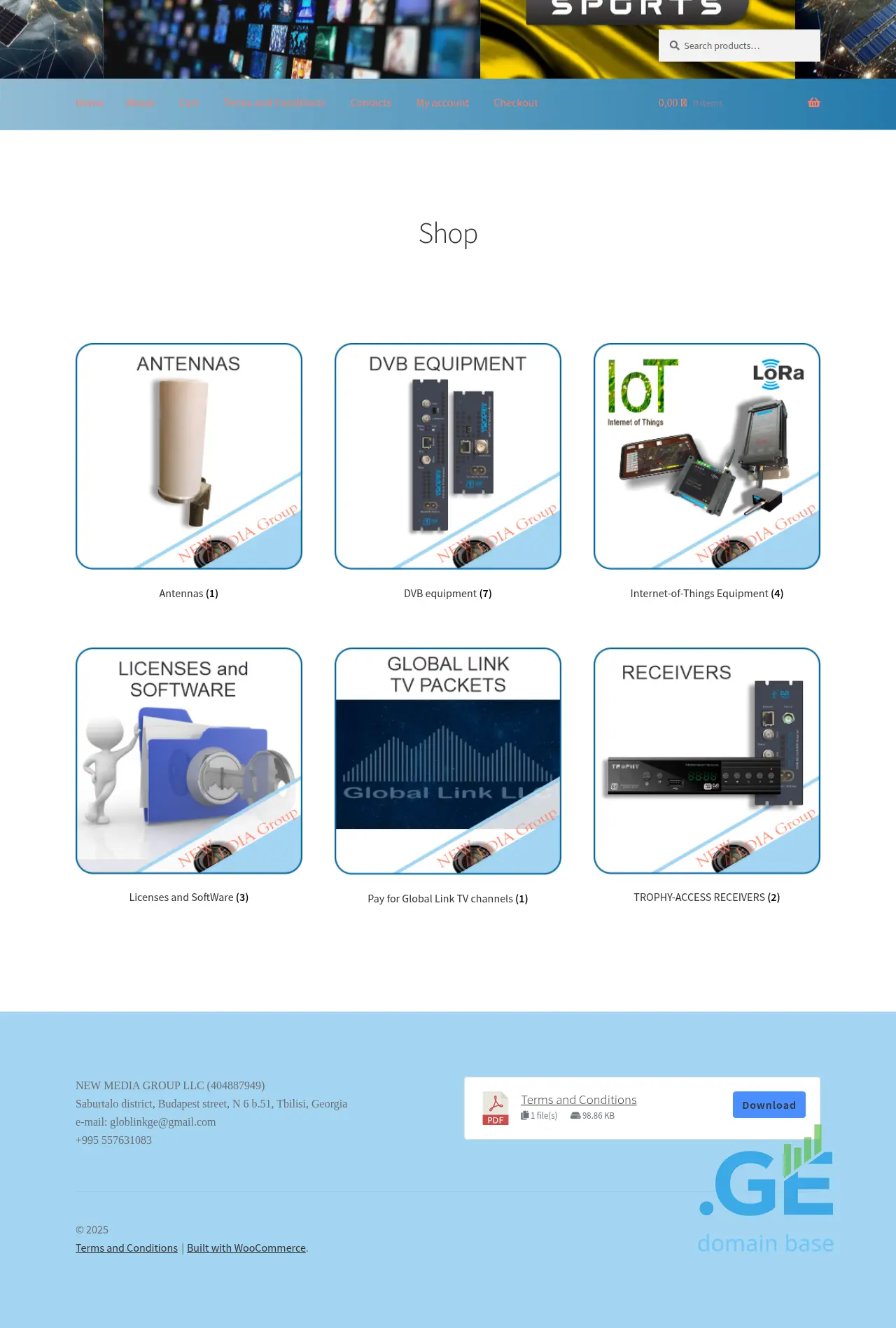 Screenshot of the site globlink.ge