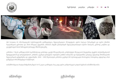 Screenshot of gmco.ge
