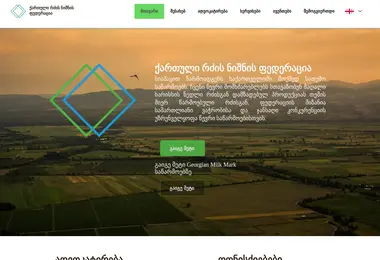 Screenshot of gmmf.ge