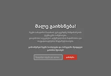 Screenshot of gogahunting.ge