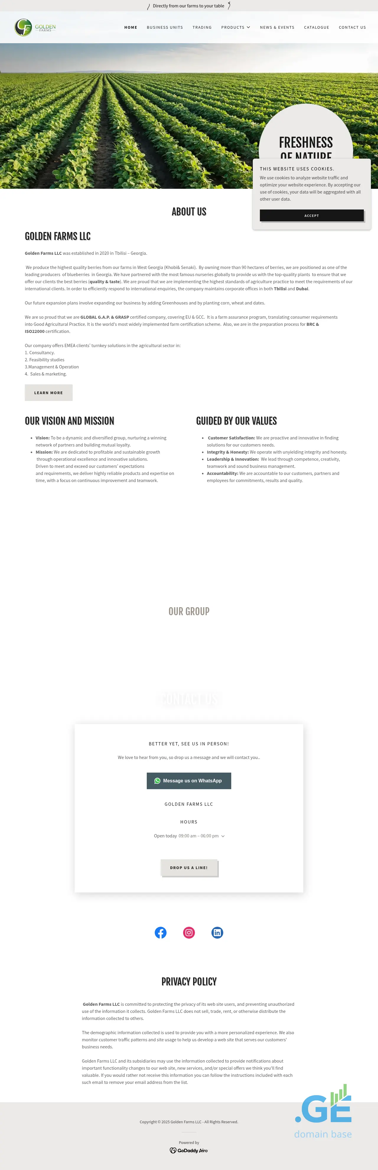 Screenshot of the site goldenfarmsholding.ge