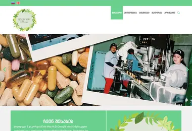 Screenshot of goldway.ge