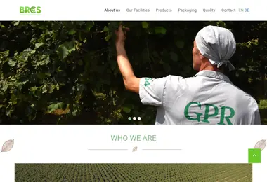 Screenshot of gprnuts.ge