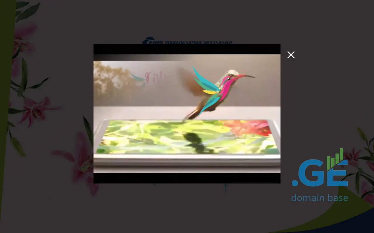 Screenshot of the site grandaxin.ge