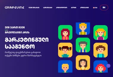 Screenshot of grapevine.ge