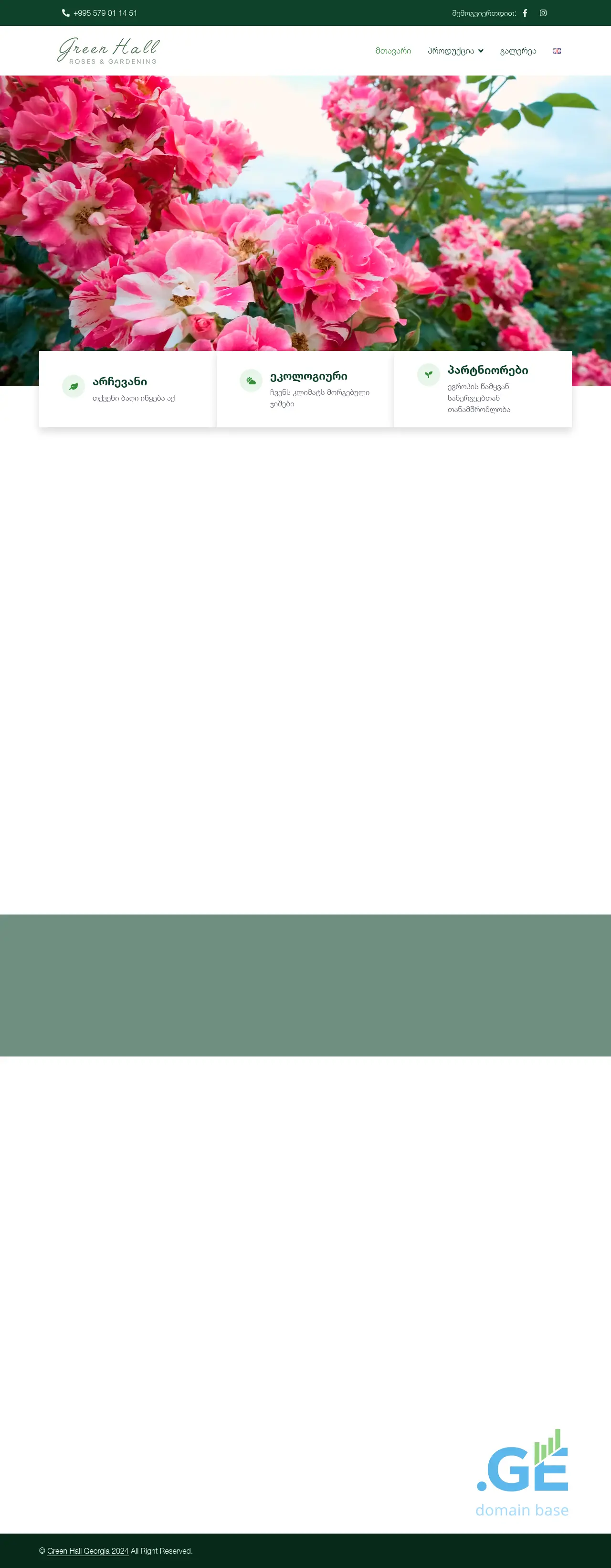 Screenshot of the site green-hall.ge