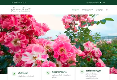 Screenshot of green-hall.ge