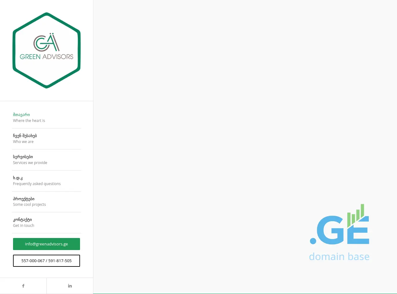 Screenshot of the site greenadvisors.ge