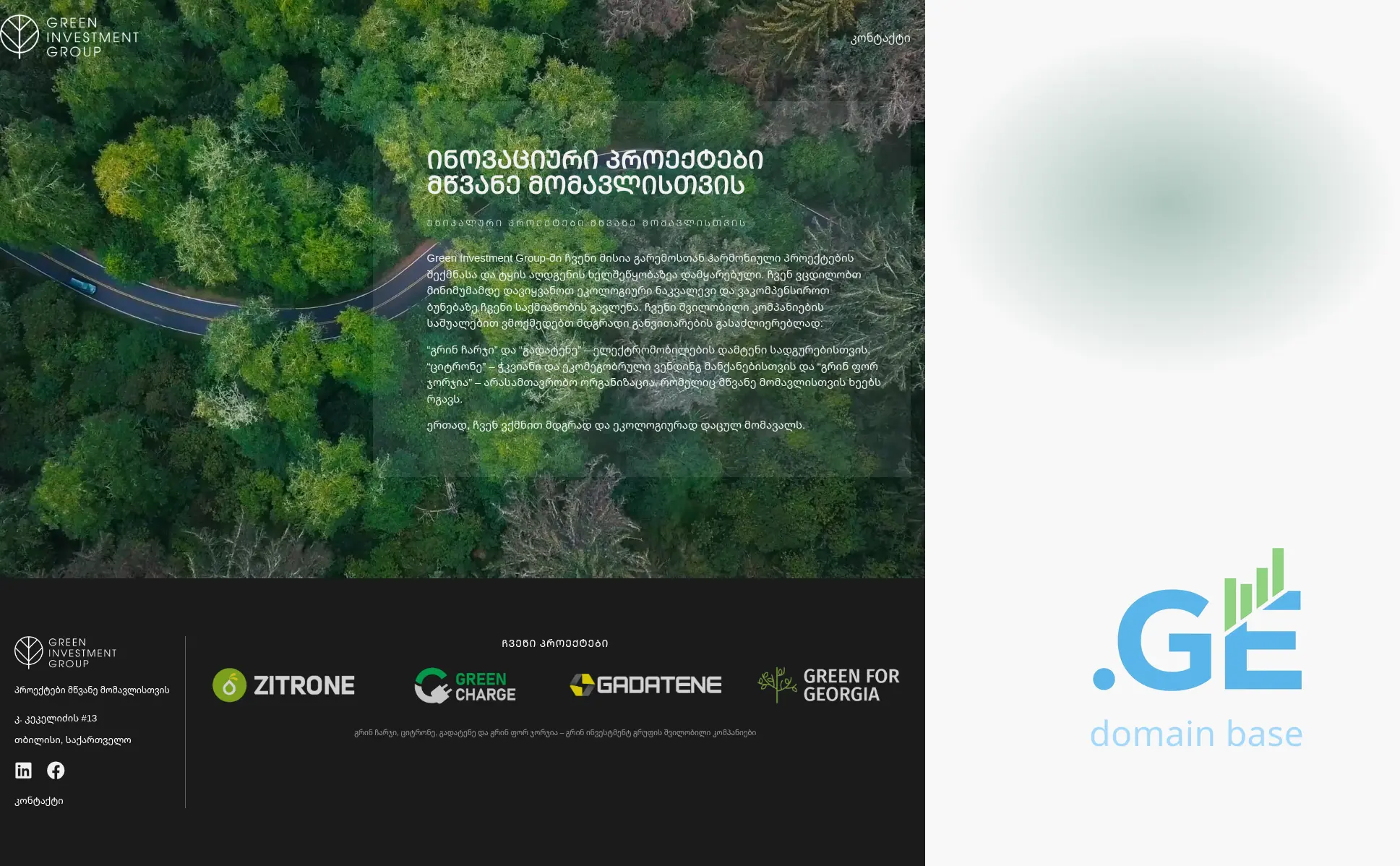 Screenshot of the site greeninvest.ge
