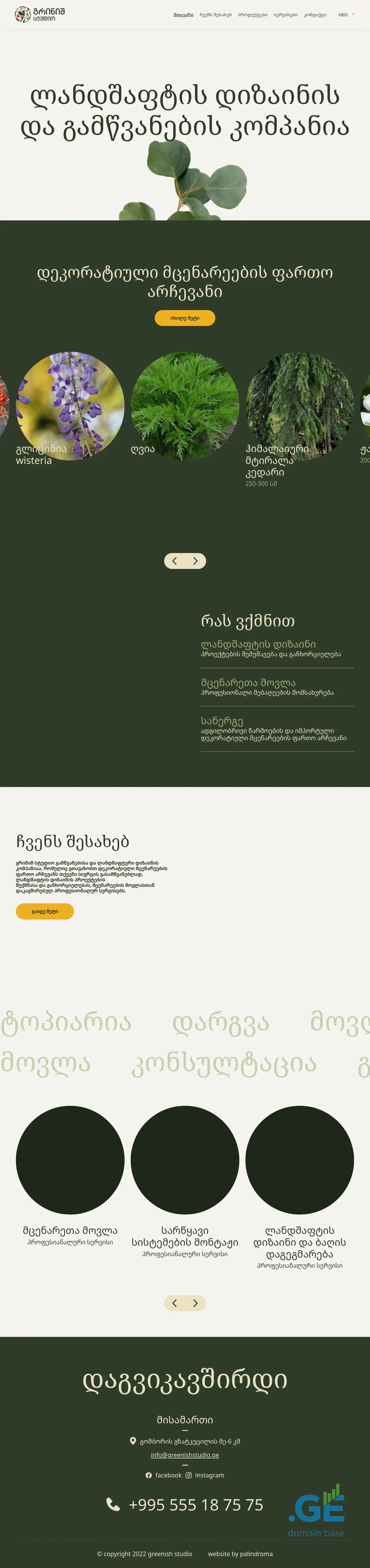Screenshot of the site greenishstudio.ge