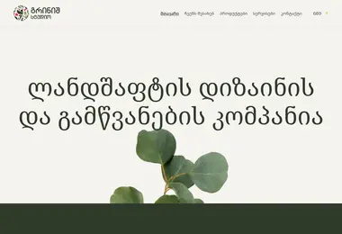 Screenshot of greenishstudio.ge