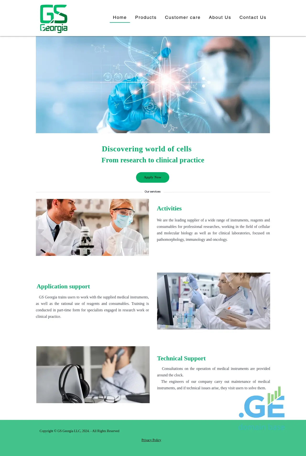 Screenshot of the site gsgeorgia.ge