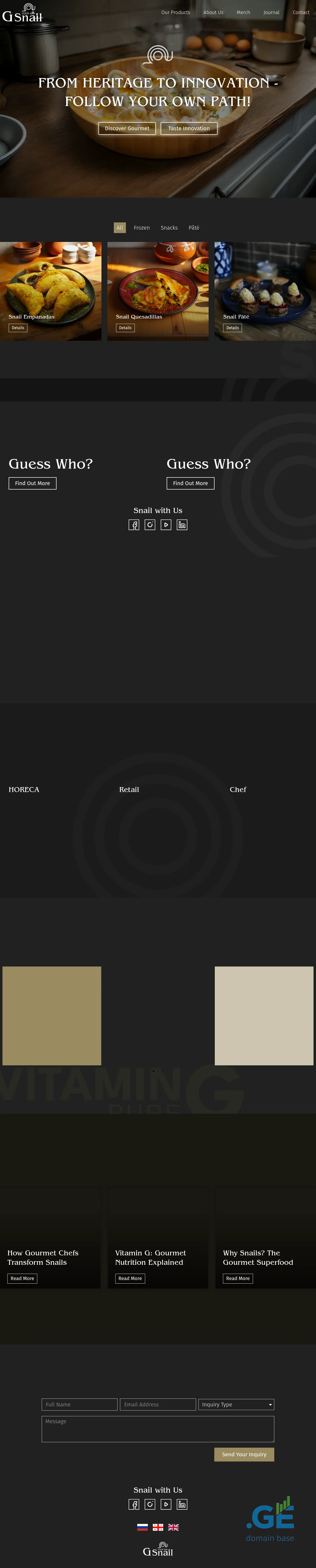 Screenshot of the site gsnail.ge