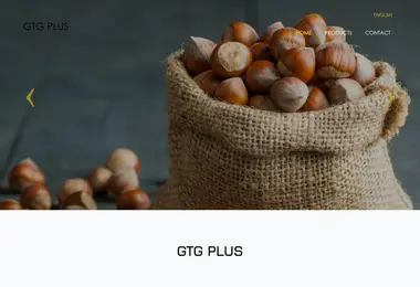 Screenshot of gtgplus.ge