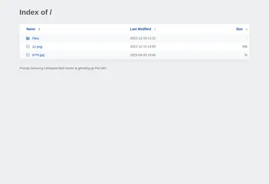 Screenshot of gtholding.ge