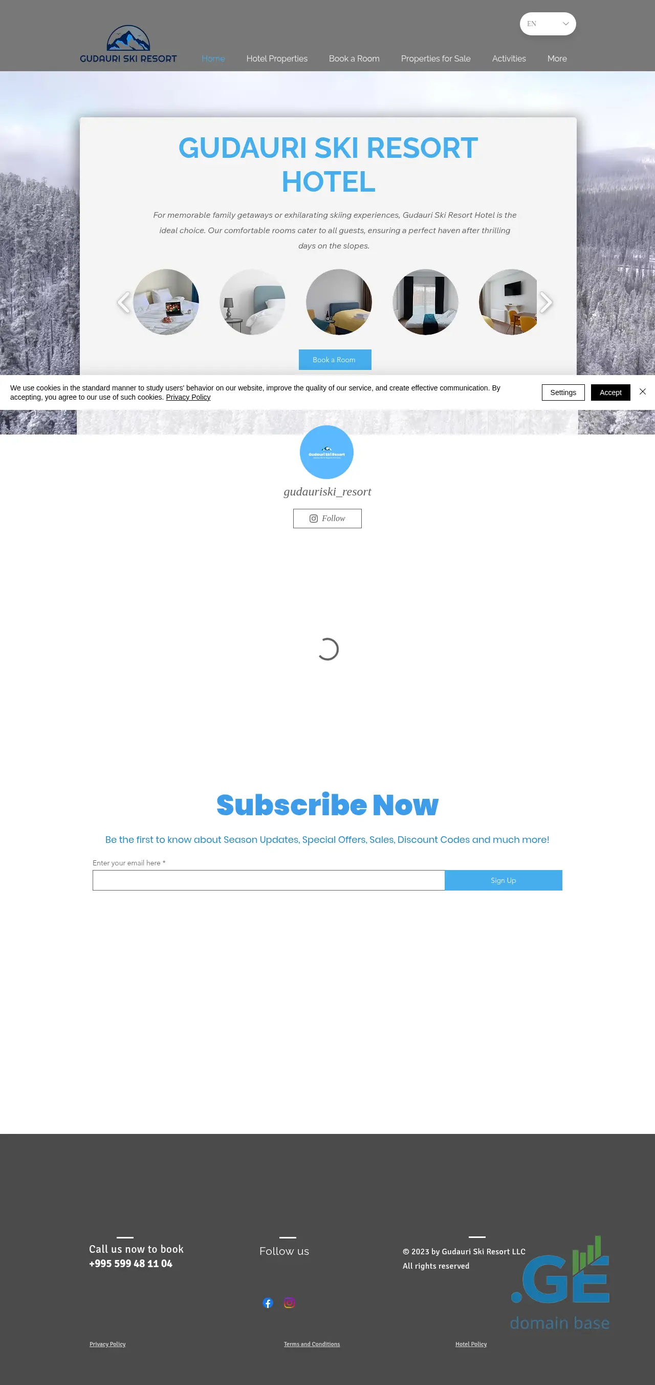 Screenshot of the site gudauriski.ge