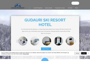 Screenshot of gudauriski.ge