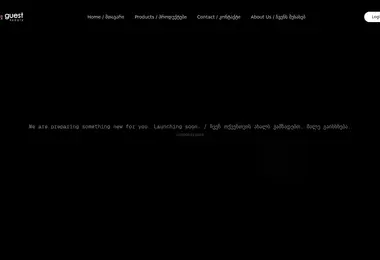 Screenshot of guestsupply.ge