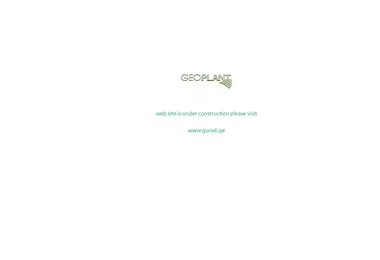 Screenshot of gurieli.com.ge