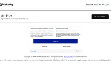 Screenshot of gurji.ge