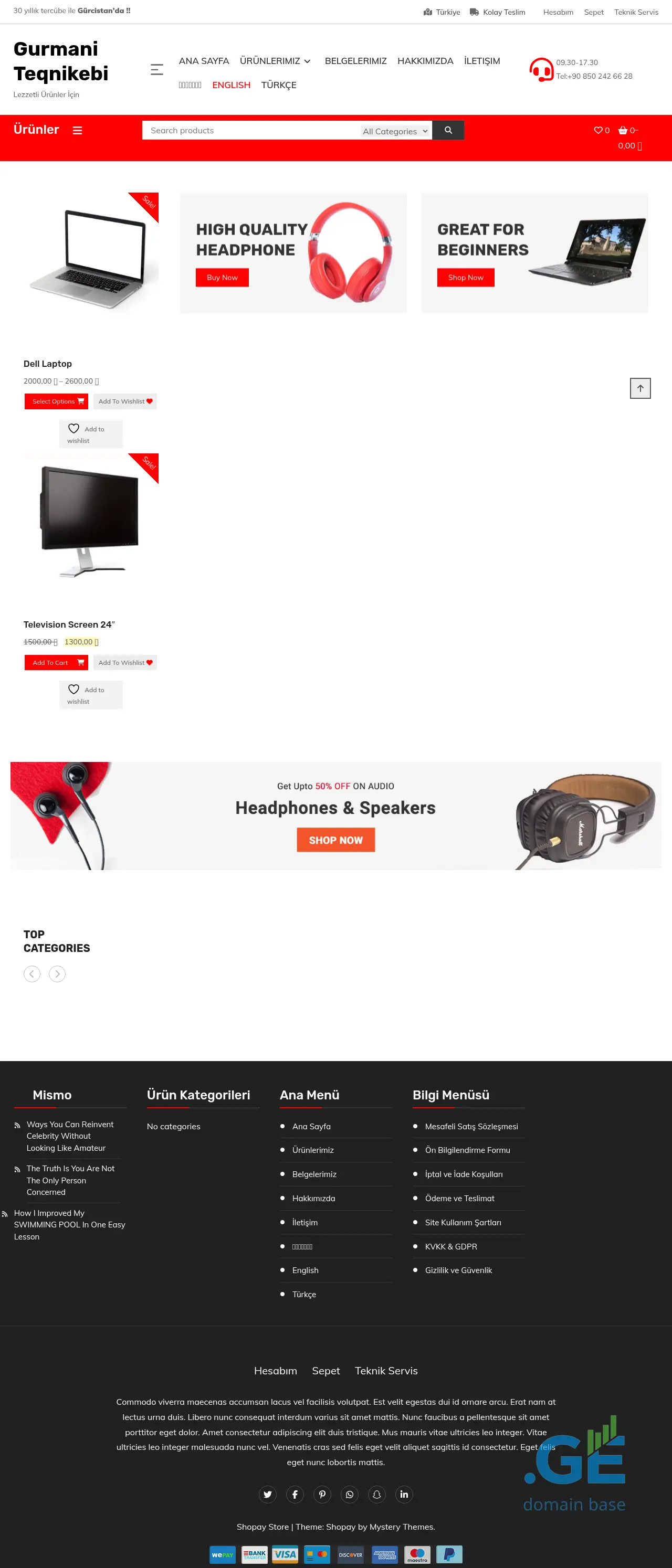 Screenshot of the site gurmaniteqnikebi.ge