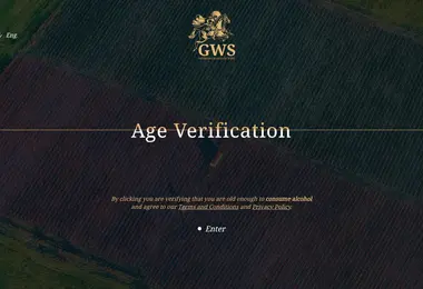 Screenshot of gws.ge