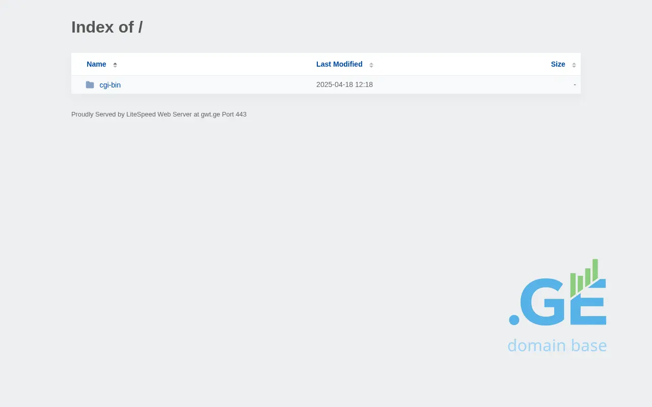 Screenshot of the site gwt.ge