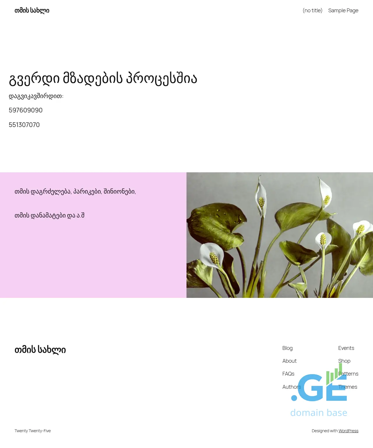 Screenshot of the site hairhouse.ge