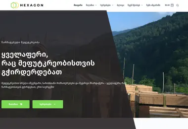 Screenshot of hexagon.ge