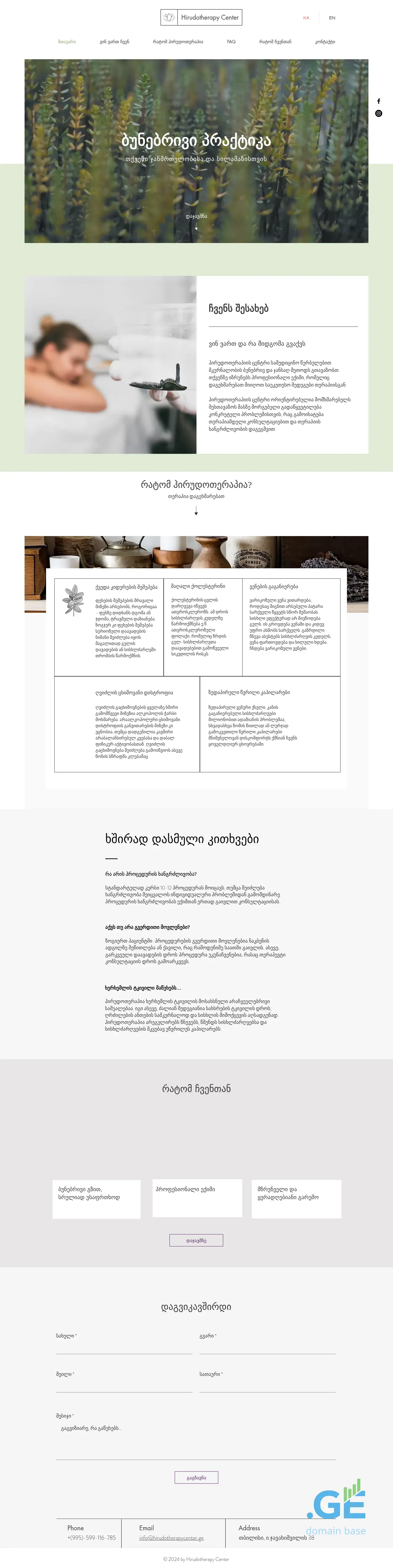 Screenshot of the site hirudotherapycenter.ge