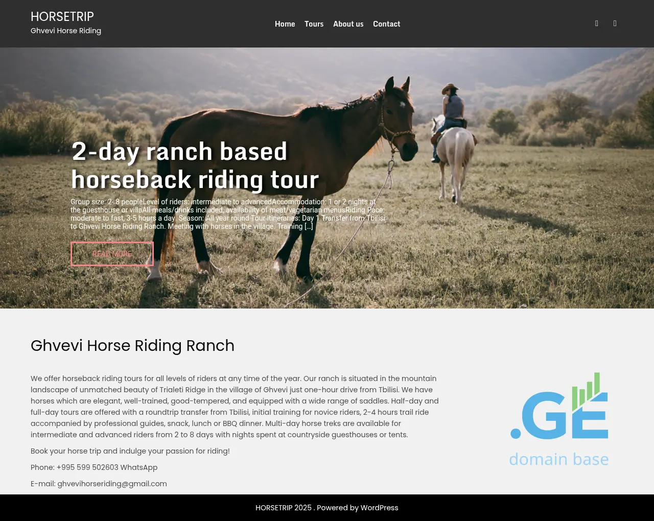 Screenshot of the site horseridingtbilisi.ge