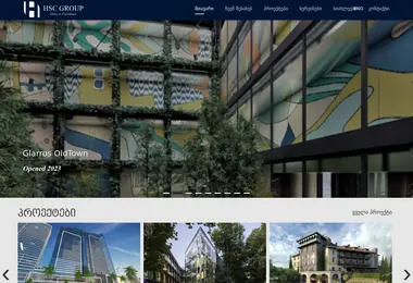 Screenshot of hscgroup.ge