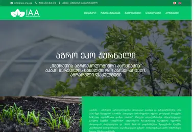 Screenshot of iaa.org.ge