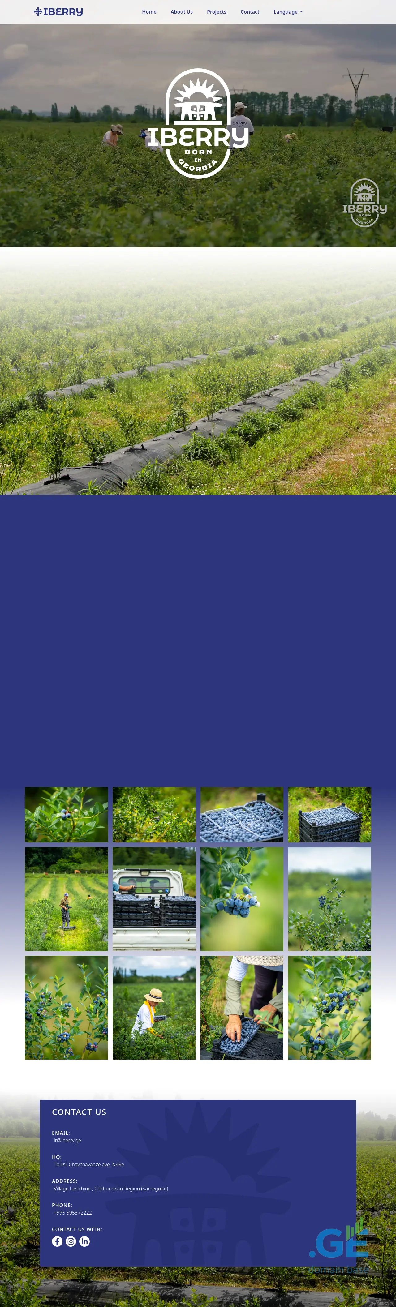 Screenshot of the site iberry.ge