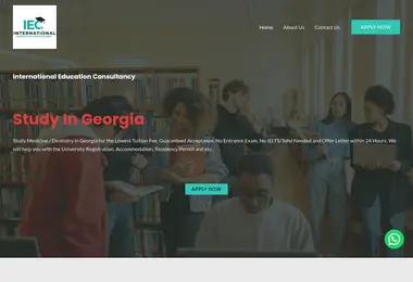 Screenshot of iec.ge