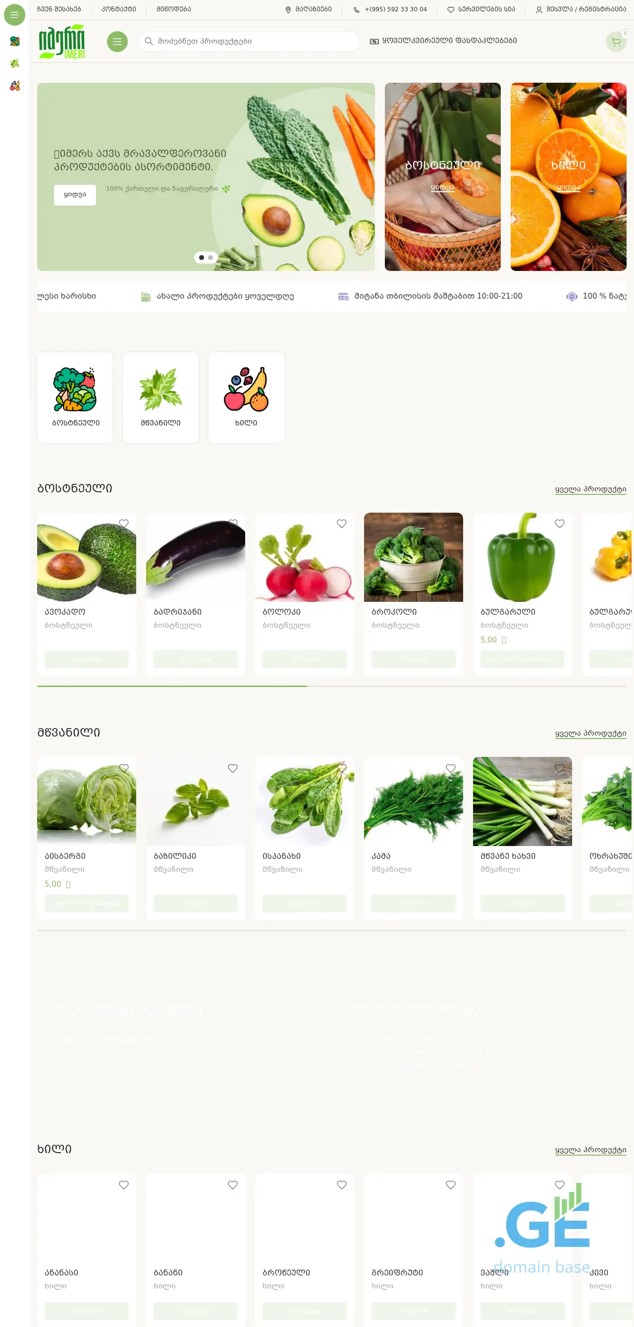 Screenshot of the site imeri2020.ge