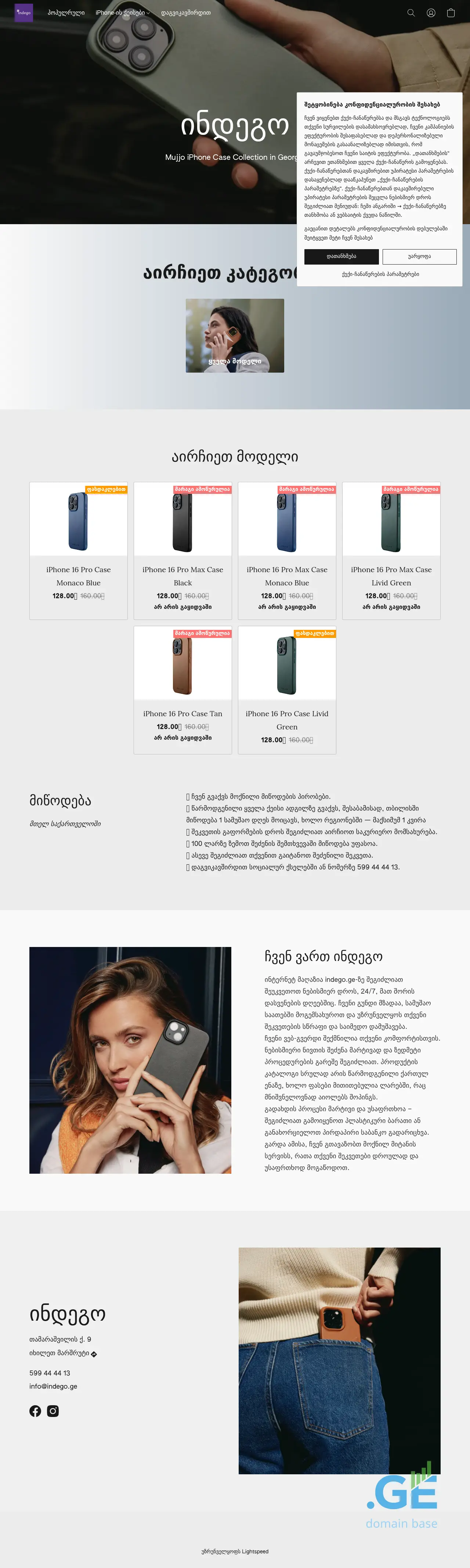 Screenshot of the site indego.ge