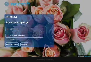 Screenshot of input.ge