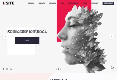 Screenshot of insite.ge