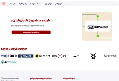 Screenshot of installments.ge
