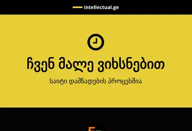 Screenshot of intellectual.ge