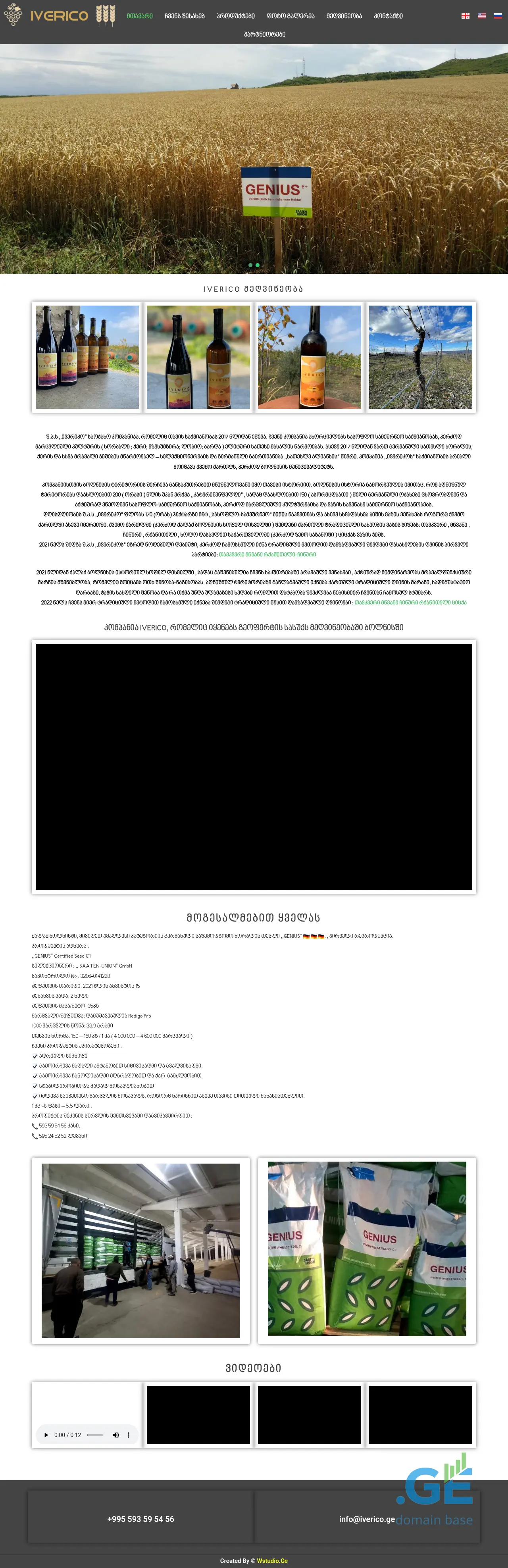 Screenshot of the site iverico.ge