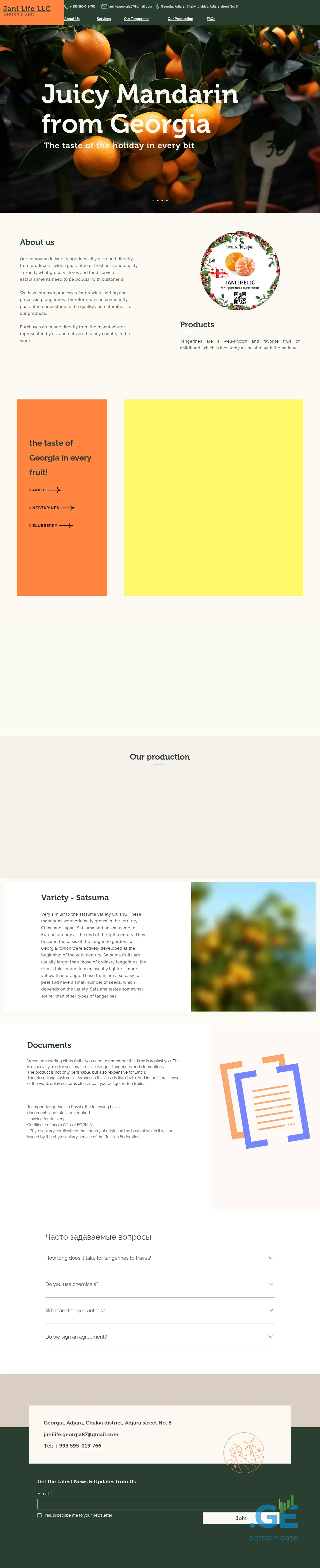 Screenshot of the site janilife.ge