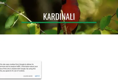 Screenshot of kardinali.ge