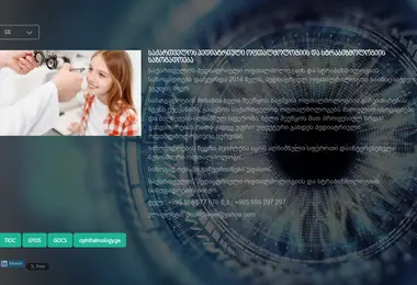 Screenshot of kidseye.ge