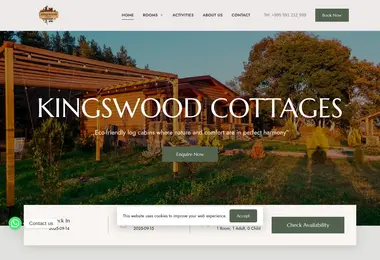 Screenshot of kingswood.ge