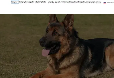 Screenshot of kinologia.ge