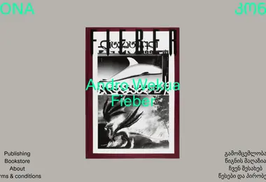 Screenshot of konabooks.ge