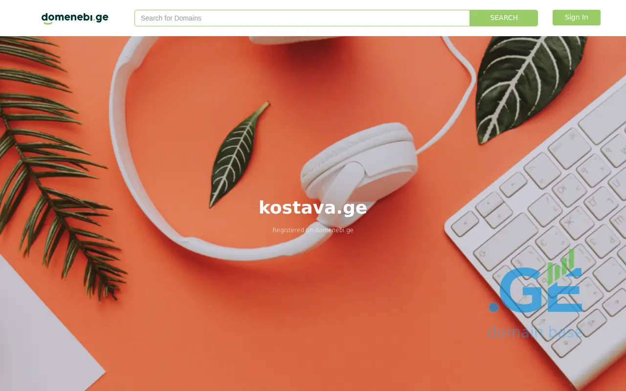 Screenshot of the site kostava.ge
