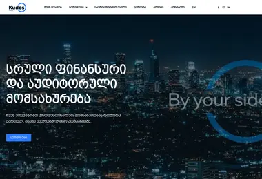 Screenshot of kudos.ge